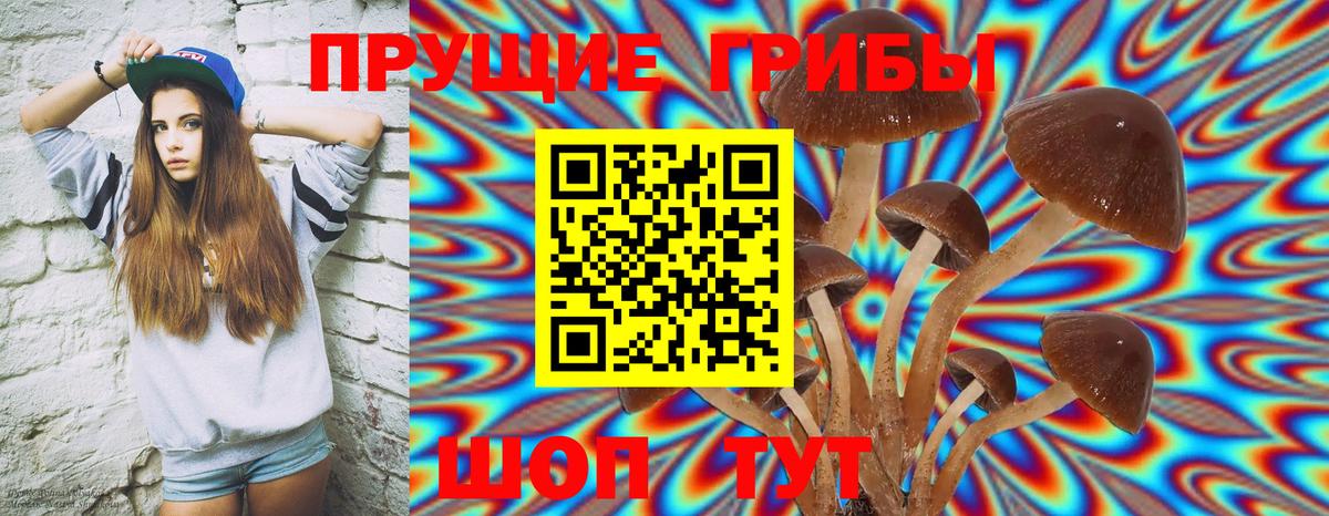 Псилоцибиновые грибы Magic Shrooms  Вход с VPN  Беслан 