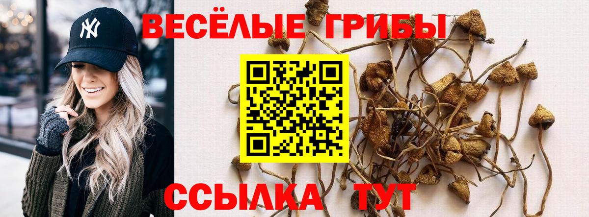 Галлюциногенные грибы Psilocybine cubensis Беслан